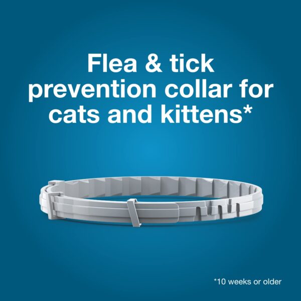 Seresto Cat Vet-Recommended Flea & Tick Treatment & Prevention Collar for Cats | 8 Months Protection - Image 6