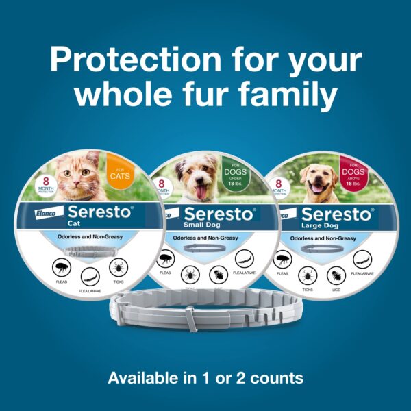 Seresto Cat Vet-Recommended Flea & Tick Treatment & Prevention Collar for Cats | 8 Months Protection - Image 2