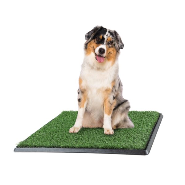 Artificial Grass Puppy Pee Pad for Dogs and Small Pets - 20x25 Reusable 3-Layer Training Potty Pad with Tray - Dog Housebreaking Supplies by PETMAKER